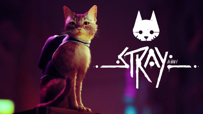  Egy macska a cyberpunk kalandjáték, a Stray főhőse 